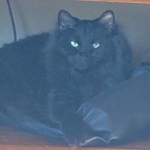 Meet your Posher, Jonathan